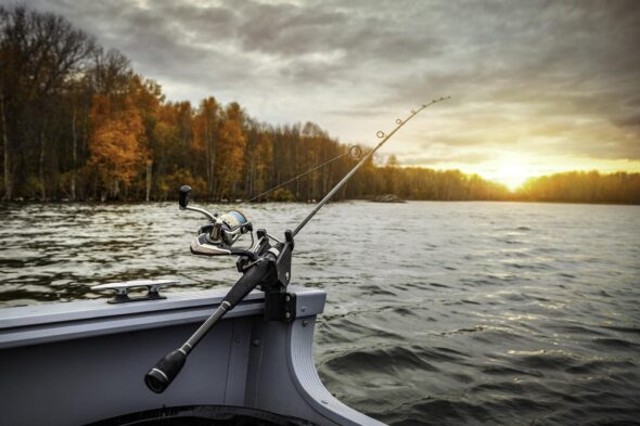 TN hunting and fishing licenses likely to increase